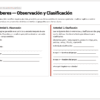 Planeaciones NEM 4.º de Primaria por Proyectos | Todos los Campos Formativos | Word Editable 21 Hoja de ejercicios en español titulada