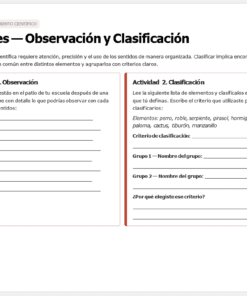 Hoja de ejercicios en español titulada 