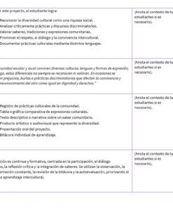 Cuadro en el que se esboza el plan de un proyecto educativo con las secciones: 