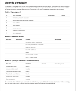 Formatos para Consejo Técnico Escolar Editables en Word | Plantillas para Organizar, Documentar y Desarrollar las Sesiones del CTE 8 Imagen 2 175