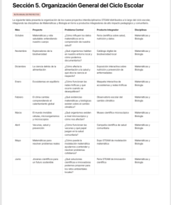 Planeaciones Interdisciplinarias NEM 1° Secundaria Saberes y Pensamiento Científico 2026-2027 | Todo el Ciclo Escolar Mes por Mes - Proyectos STEAM 11 Imagen 2 208