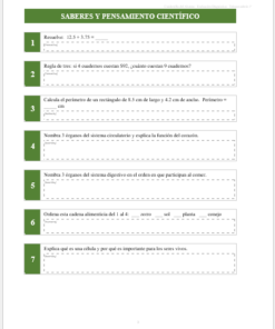 Kit de Evaluación Diagnóstica NEM Telesecundaria 1° 2026-2027 | 4 Herramientas para Evaluar y Atender el Rezago | Word y Excel Editable 9 Imagen 2 308