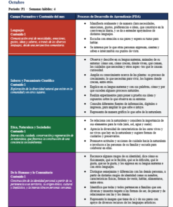 Paquete Integral del Docente NEM Preescolar 2° | Planeaciones, Evaluación y Seguimiento | Word y Excel Editables 14 Imagen 2 312
