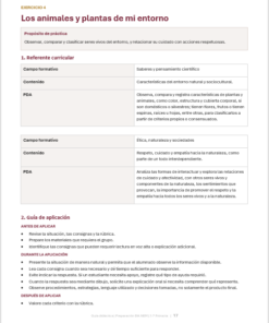 Cuadernillo de Preparación para EIA NEM 1.º Primaria 2026-2027 | Guía Docente, Rúbricas y Mapa Curricular | Word Editable 7 Imagen 2 318