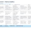 Rúbrica analítica para evaluar los sistemas nervioso y endocrino, con cuatro criterios y niveles de rendimiento.