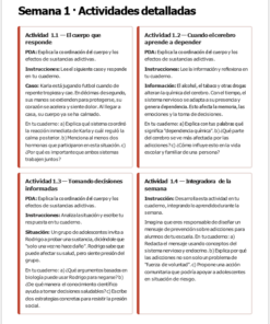 Una hoja de ejercicios educativos en español titulada 