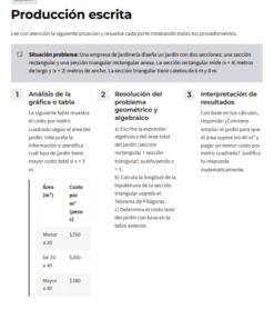 Imagen 2b