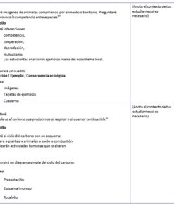 Un modelo de plan de clase en español, organizado en dos secciones: 