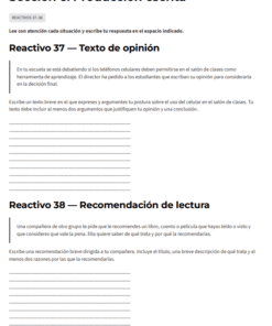 Imagen 3 17