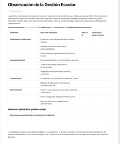 Bitácora de Visitas de Supervisión Escolar Editable en Word | Formatos para Registro, Seguimiento y Acompañamiento Pedagógico 9 Imagen 3 172
