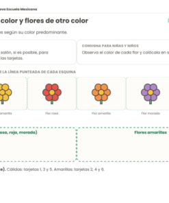 Tarjetas de Clasificación NEM 2026-2027 Preescolar 1° | Actividades Manipulativas para el Aula | PDF + Word Editable 8 Imagen 3 226