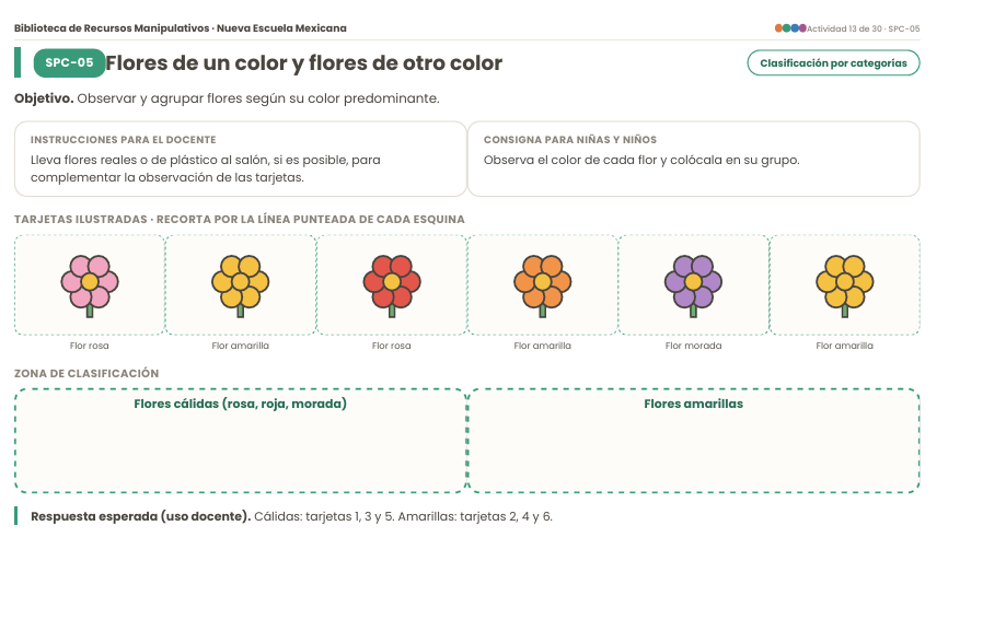 Tarjetas de Clasificación NEM 2026-2027 Preescolar 1° | Actividades Manipulativas para el Aula | PDF + Word Editable 4 Tarjetas de Clasificación NEM 2026-2027 Preescolar 1° | Actividades Manipulativas para el Aula | PDF + Word Editable - Image 4