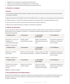 Cuadernillo de Preparación para EIA NEM 1.º Primaria 2026-2027 | Guía Docente, Rúbricas y Mapa Curricular | Word Editable 8 Imagen 3 315