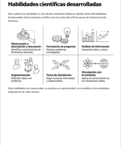 Infografía titulada 
