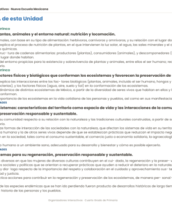 Organizadores Interactivos NEM 2026-2027 4° de Primaria | Proyectos Integradores | PDF + Word Editable 11 Imagen 4 222