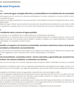 Infografías Manipulativas NEM 2026-2027 5° de Primaria | Proyectos Integradores | PDF + Word Editable 11 Imagen 4 223