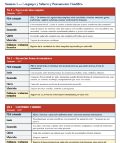Paquete Integral del Docente NEM Preescolar 3° | Planeaciones, Evaluación y Seguimiento | Word y Excel Editables 16 Imagen 4 301
