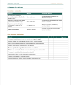 Planeaciones NEM Telesecundaria 1er Grado 2026-2027 | Programa Analítico y Planeación Mensual | Word Editable 11 Imagen 4 315