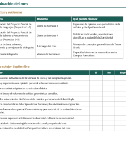 Planeaciones NEM Telesecundaria 3° Grado 2026-2027 | Programa Analítico y Planeación Mensual | Word Editable 11 Imagen 4 321