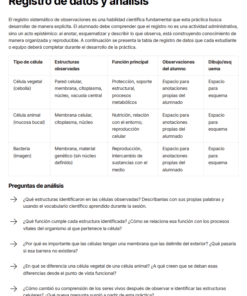 Tabla comparativa entre células vegetales y bacterianas basada en la estructura y función celular, con preguntas de análisis a continuación sobre observación, procesos, organización y evaluación de pruebas. El texto está en español.