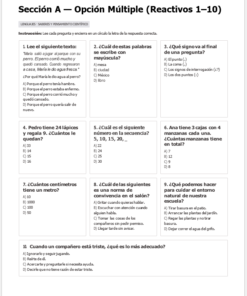 Test de opción múltiple en español con 10 preguntas. Cada pregunta tiene un apartado y cuatro opciones de respuesta: a), b), c), d). El título de la sección es el siguiente 