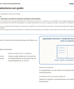 Organizadores Interactivos NEM 2026-2027 4° de Primaria | Proyectos Integradores | PDF + Word Editable 12 Imagen 5 150