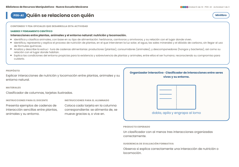 Organizadores Interactivos NEM 2026-2027 4° de Primaria | Proyectos Integradores | PDF + Word Editable 6 Organizadores Interactivos NEM 2026-2027 4° de Primaria | Proyectos Integradores | PDF + Word Editable - Image 6
