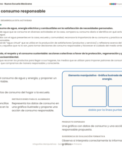 Infografías Manipulativas NEM 2026-2027 5° de Primaria | Proyectos Integradores | PDF + Word Editable 12 Imagen 5 151