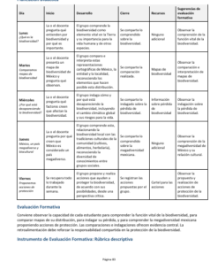 Secuencias Didácticas para Primaria Quinto Grado | Planeaciones NEM 2026-2027 | Word Editable 12 Imagen 5 174
