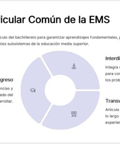 Un diagrama explica el 