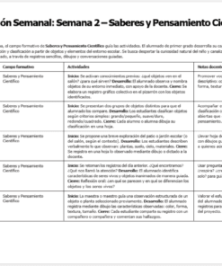 Planeaciones NEM 1° Primaria 2026-2027 Editables en Word | Proyectos, Evaluación Formativa y Ciclo Completo 18 Tabla semanal de planificación de clases para la