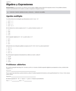 Hoja de ejercicios de matemáticas en español titulada 