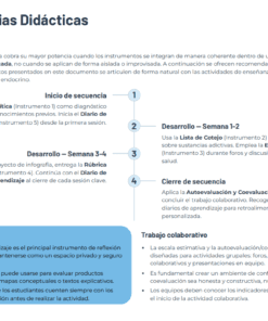 Imagen 8 3