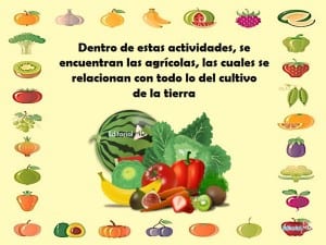 Productos Agrícolas ejemplo