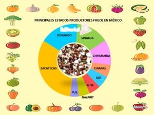 Productos Agrícolas