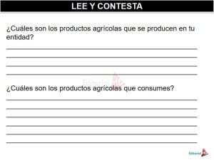 Productos Agrícolas