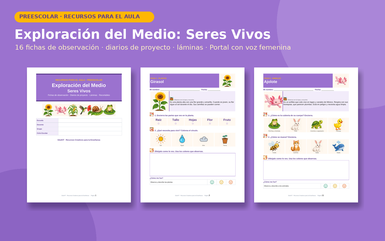 Exploración del Medio: Seres Vivos para Preescolar | 16 Fichas de Observación, 18 Tarjetas, 3 Juegos y Portal con Voz 2 Exploración del Medio: Seres Vivos para Preescolar | 16 Fichas de Observación, 18 Tarjetas, 3 Juegos y Portal con Voz - Imagen 2