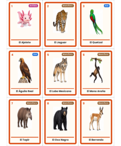 EduKIT Lotería de Animales de México para Primaria | 32 Animales, 20 Tableros y Portal Interactivo 9 Imagen 2 39