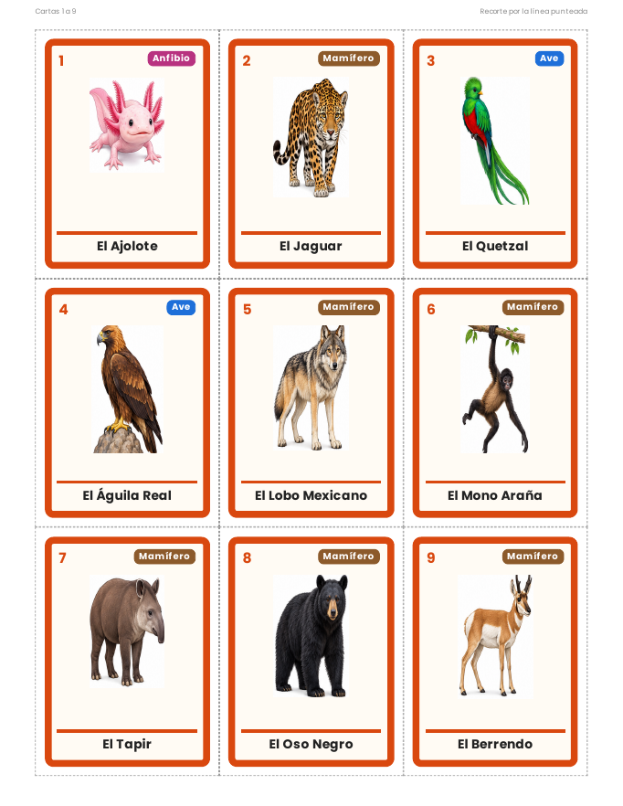 EduKIT Lotería de Animales de México para Primaria | 32 Animales, 20 Tableros y Portal Interactivo 3 EduKIT Lotería de Animales de México para Primaria | 32 Animales, 20 Tableros y Portal Interactivo - Imagen 3