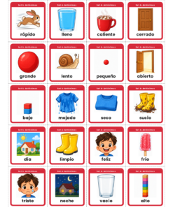 EduKIT Memorama de Antónimos y Sinónimos para Primaria | 120 Tarjetas, 6 Sets y Portal con Audio 9 Imagen 2 43
