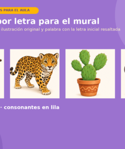 Abecedario Ilustrado para Preescolar y Primaria | 27 Carteles, 86 Tarjetas, 27 Fichas y 6 Juegos de Sonido Inicial 9 Imagen 2 67