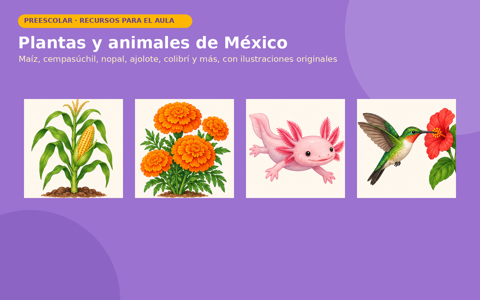 Exploración del Medio: Seres Vivos para Preescolar | 16 Fichas de Observación, 18 Tarjetas, 3 Juegos y Portal con Voz 3 Exploración del Medio: Seres Vivos para Preescolar | 16 Fichas de Observación, 18 Tarjetas, 3 Juegos y Portal con Voz - Imagen 3