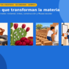 Museo Saberes que Transforman | EduNEM Química Secundaria 3.º | 10 sesiones y 3 rutas de aprendizaje 9 Imagen 2 85