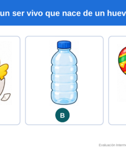 EduKIT Evaluación Intermedia Preescolar 2° | Segundo Momento NEM Fase 2 10 Un pollito animado saliendo del huevo, una botella de plástico y un par de maracas como ejemplos de seres que nacen de huevos.
