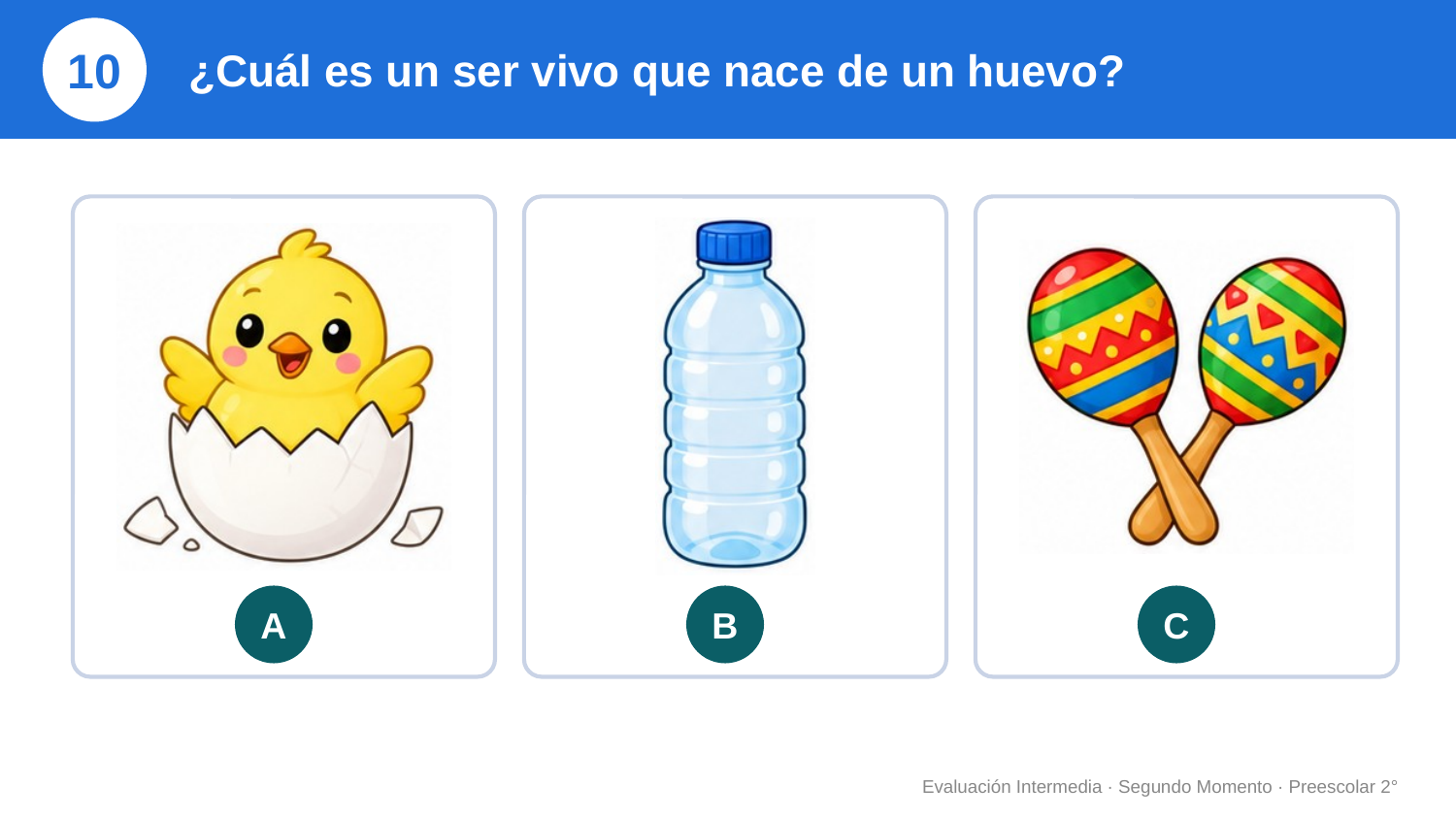 EduKIT Evaluación Intermedia Preescolar 2° | Segundo Momento NEM Fase 2 4 Un pollito animado saliendo del huevo, una botella de plástico y un par de maracas como ejemplos de seres que nacen de huevos.