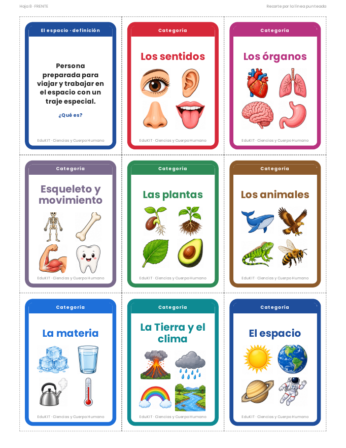 EduKIT Flash Cards de Ciencias y Cuerpo Humano para Primaria | 32 Conceptos, 72 Tarjetas y Portal Interactivo 4 EduKIT Flash Cards de Ciencias y Cuerpo Humano para Primaria | 32 Conceptos, 72 Tarjetas y Portal Interactivo - Imagen 4
