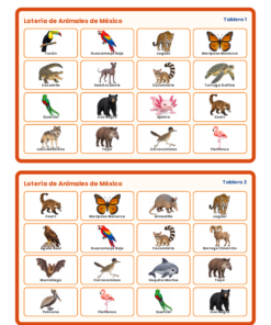EduKIT Lotería de Animales de México para Primaria | 32 Animales, 20 Tableros y Portal Interactivo 10 Imagen 3 39