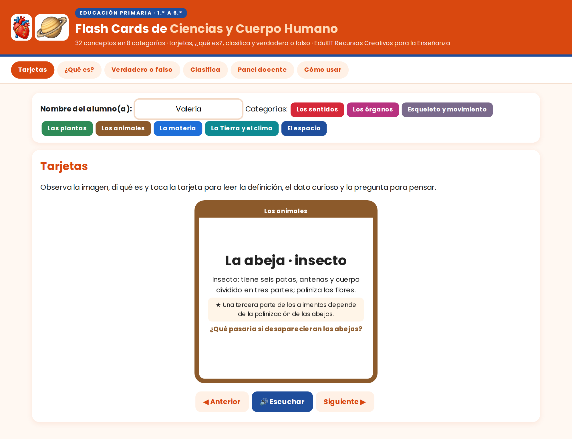 EduKIT Flash Cards de Ciencias y Cuerpo Humano para Primaria | 32 Conceptos, 72 Tarjetas y Portal Interactivo 5 EduKIT Flash Cards de Ciencias y Cuerpo Humano para Primaria | 32 Conceptos, 72 Tarjetas y Portal Interactivo - Imagen 5