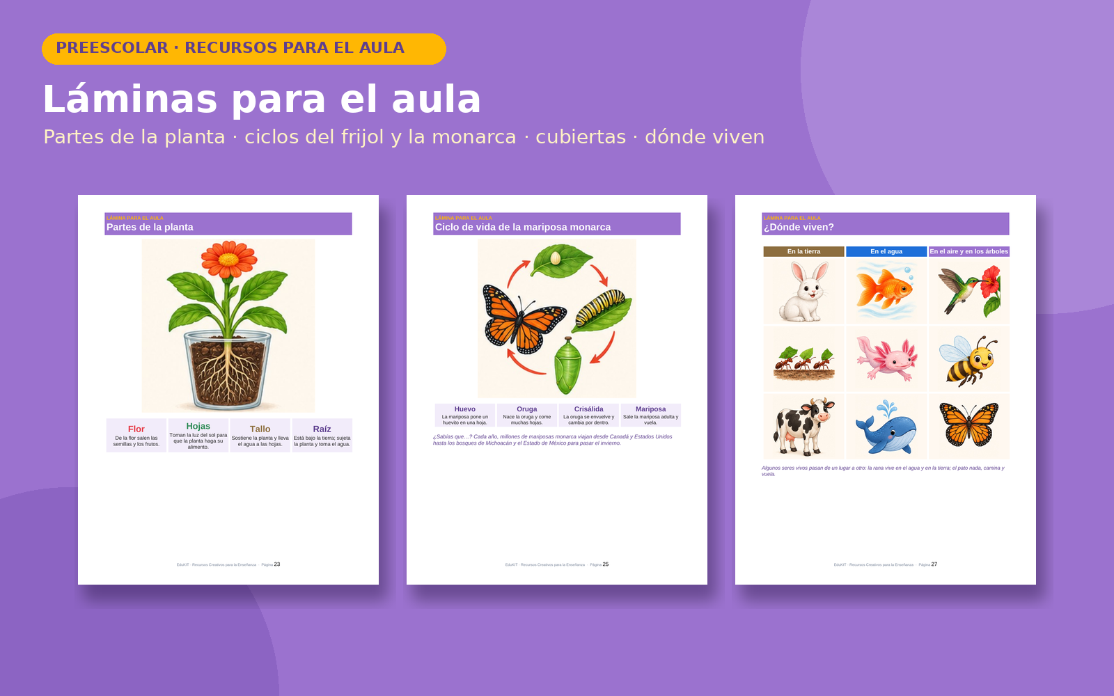 Exploración del Medio: Seres Vivos para Preescolar | 16 Fichas de Observación, 18 Tarjetas, 3 Juegos y Portal con Voz 5 Exploración del Medio: Seres Vivos para Preescolar | 16 Fichas de Observación, 18 Tarjetas, 3 Juegos y Portal con Voz - Imagen 5