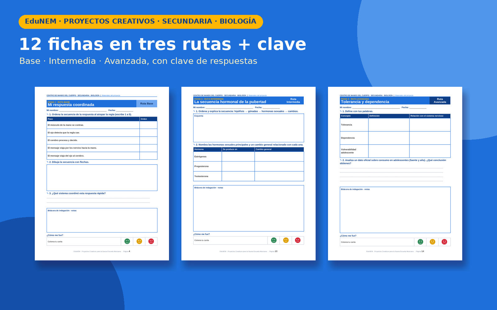 Centro de Mando del Cuerpo | EduNEM Biología Secundaria 1.º | 10 sesiones y 3 rutas de aprendizaje 5 Centro de Mando del Cuerpo | EduNEM Biología Secundaria 1.º | 10 sesiones y 3 rutas de aprendizaje - Imagen 5